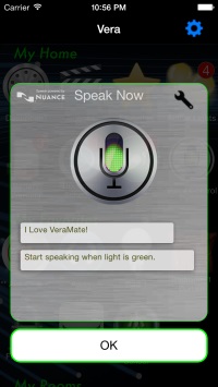 Voice control screenshot
